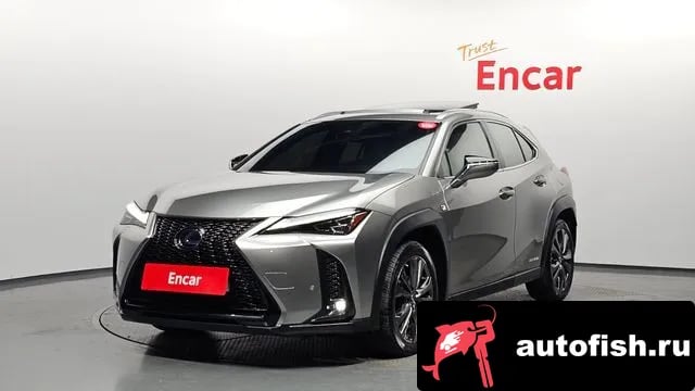 Lexus UX UX250h 2020 года - вид 1