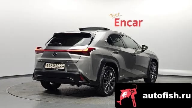 Lexus UX UX250h 2020 года - вид 2