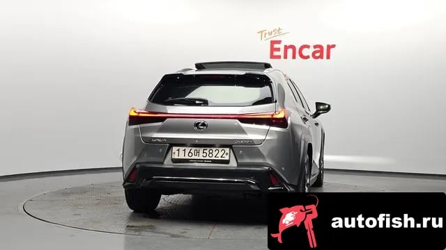 Lexus UX UX250h 2020 года - вид 4