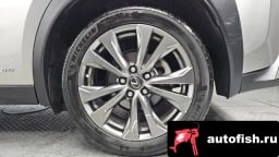 Миниатюра 5