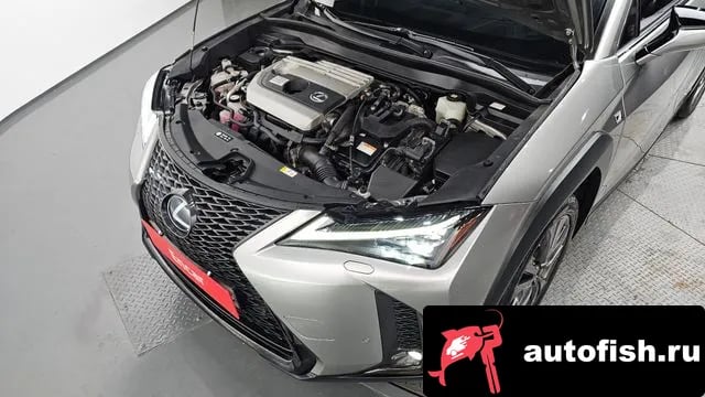 Lexus UX UX250h 2020 года - вид 6