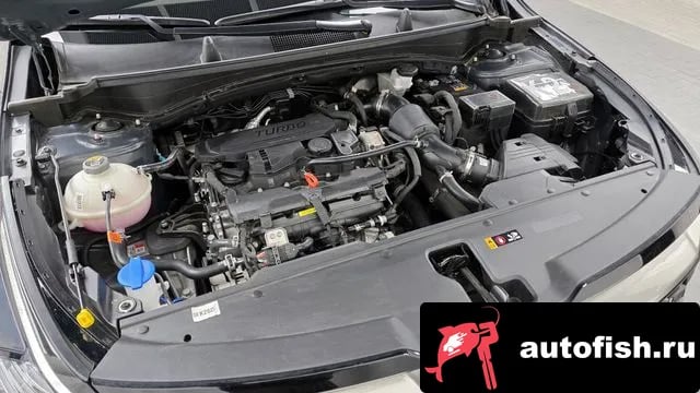 Kia Sportage Sportage 5th Generation 2024 года - вид 6