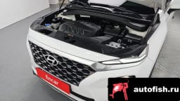 Миниатюра 6