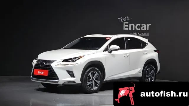 Lexus NX NX300h 2018 года - вид 1