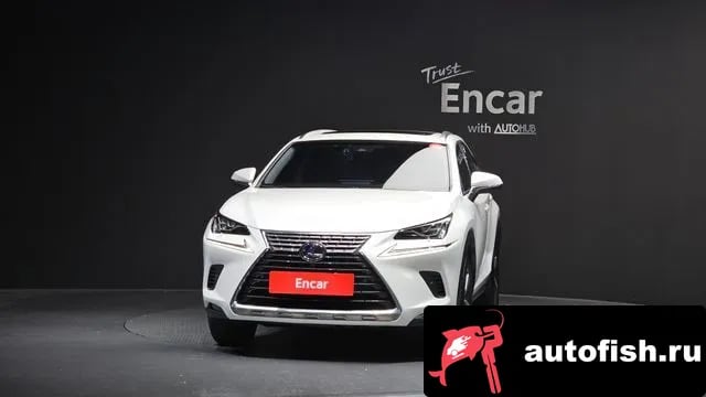 Lexus NX NX300h 2018 года - вид 3