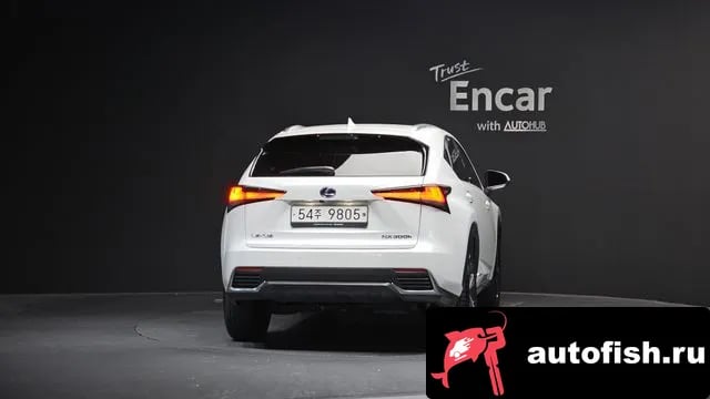 Lexus NX NX300h 2018 года - вид 4