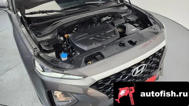 Hyundai Santafe San Tafe TM 2019 года - вид 6