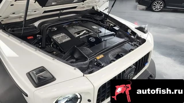 Mercedes-Benz G-Class G-Class W463b 2021 года - вид 6