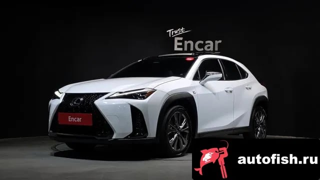 Lexus UX UX300h 2024 года - автомобиль из Южной Кореи