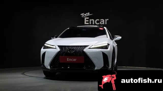 Lexus UX UX300h 2024 года - вид 3