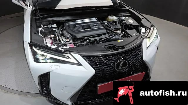 Lexus UX UX300h 2024 года - вид 6