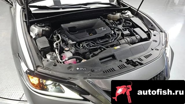 Lexus ES ES300h 7th generation 2024 года - вид 6