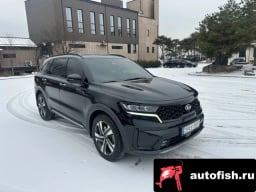 Миниатюра 3