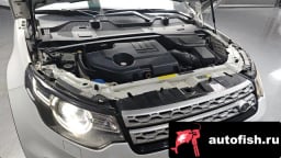 Миниатюра 6