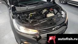 Миниатюра 6