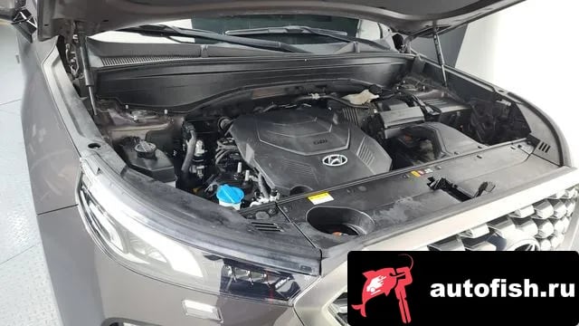 Hyundai Palisade Palisade 2019 года - вид 6