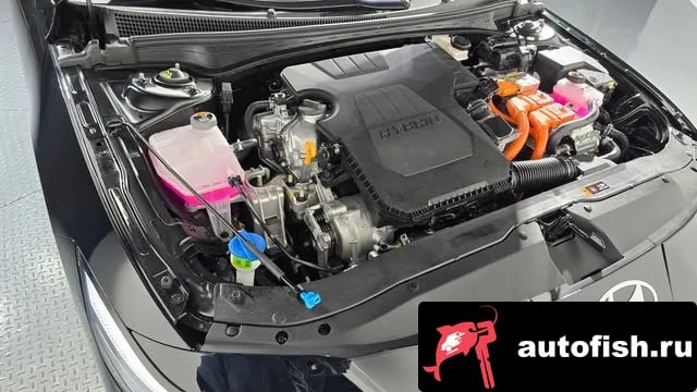 Hyundai AVANTE The New Avante Hybrid (CN7) 2025 года - вид 6