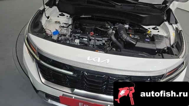 Kia Seltos The New Celtos 2023 года - вид 6