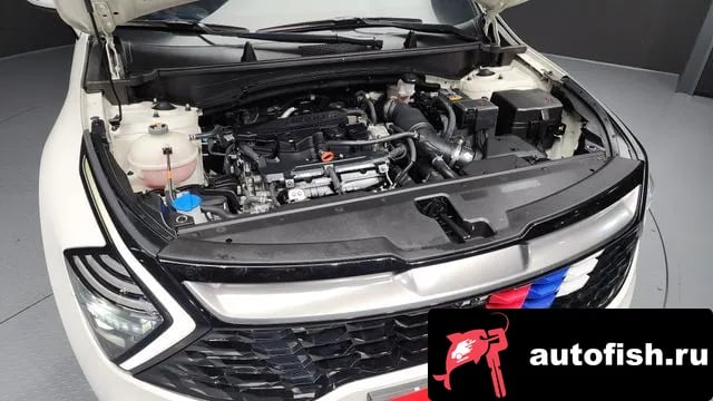 Kia Sportage Sportage 5th Generation 2023 года - вид 6