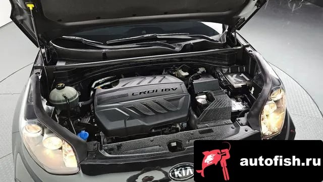 Kia Sportage Sportage The Bold 2018 года - вид 6