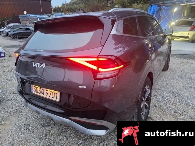 Kia Sportage Sportage 5th Generation Hybrid 2024 года - похожие автомобили