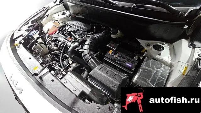 Kia Seltos The New Celtos 2023 года - вид 6