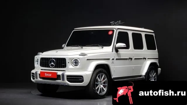 Mercedes-Benz G-Class G-Class W463b 2021 года - вид 1
