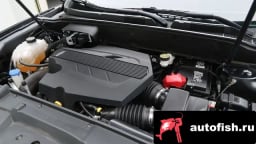 Миниатюра 6