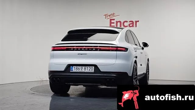 Porsche Cayenne Cayenne (PO536) 2024 года - вид 4