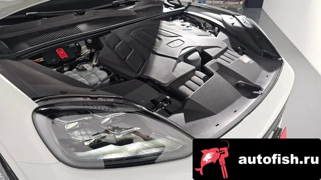 Porsche Cayenne Cayenne (PO536) 2024 года - вид 6