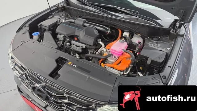 Hyundai Tucson The New Tucson Hybrid (NX4) 2024 года - вид 6