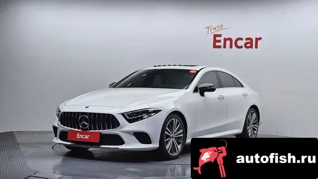 Mercedes-Benz CLS-Class CLS-Class C257 2019 года - вид 1
