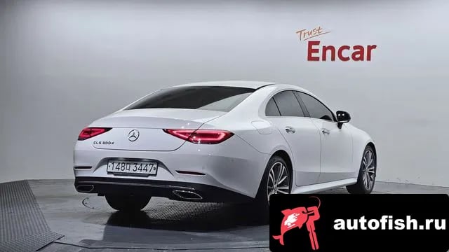 Mercedes-Benz CLS-Class CLS-Class C257 2019 года - вид 2