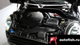 Миниатюра 6