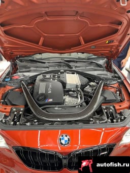 Миниатюра 6