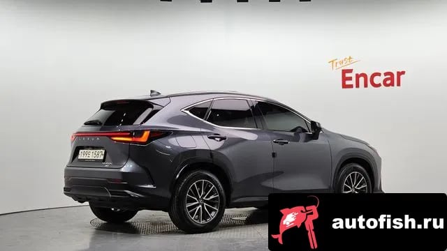 Lexus NX NX450h + 2nd generation 2022 года - вид 2