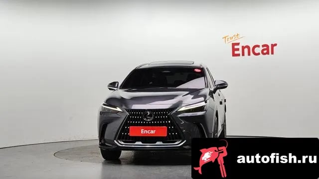 Lexus NX NX450h + 2nd generation 2022 года - вид 3