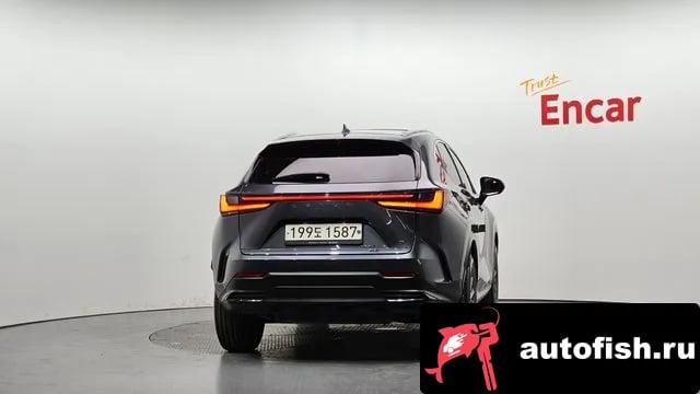 Lexus NX NX450h + 2nd generation 2022 года - вид 4
