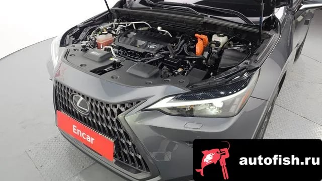 Lexus NX NX450h + 2nd generation 2022 года - вид 6