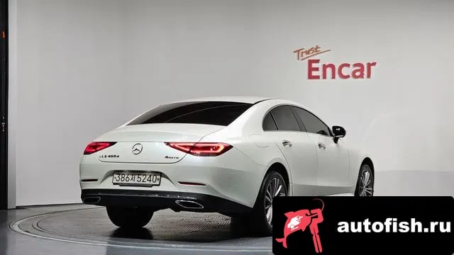 Mercedes-Benz CLS-Class CLS-Class C257 2019 года - вид 2
