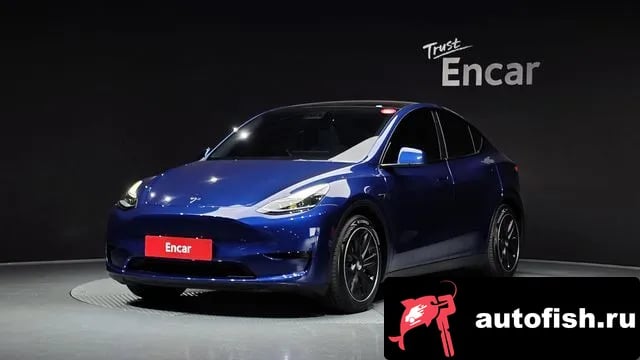 Tesla Model Y Model Y 2024 года - вид 1