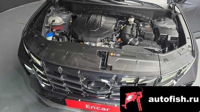 Hyundai Tucson Tucson (NX4) 2023 года - вид 6