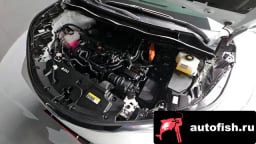 Миниатюра 6