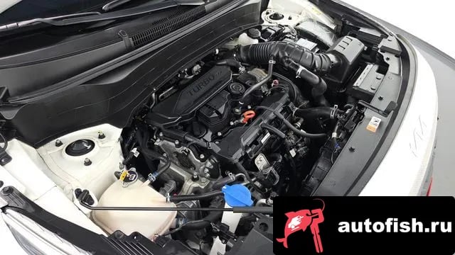 Kia Seltos The New Celtos 2023 года - вид 6