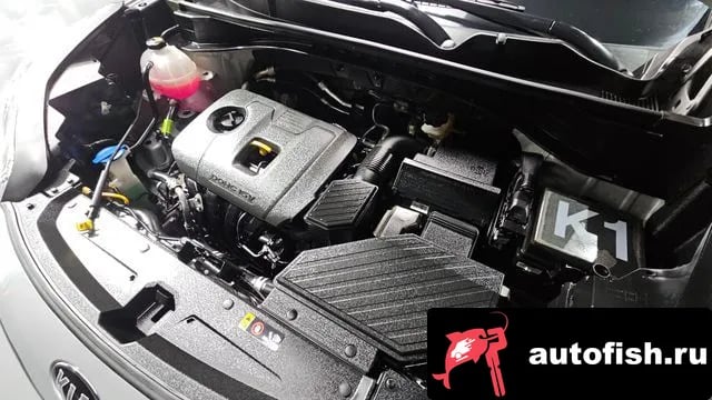 Kia Sportage Sportage The Bold 2021 года - вид 6