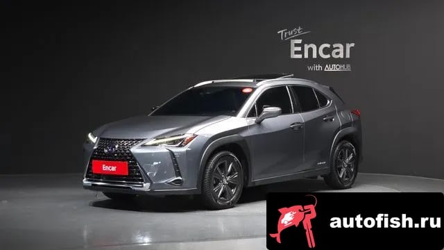 Lexus UX UX250h 2019 года - вид 1
