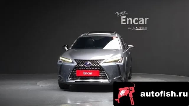 Lexus UX UX250h 2019 года - вид 3