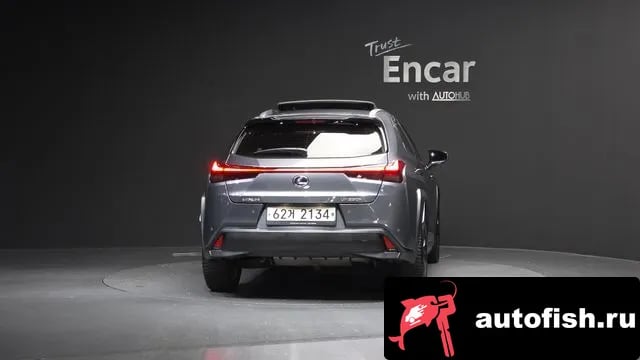 Lexus UX UX250h 2019 года - вид 4