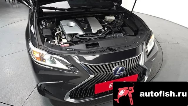 Lexus ES ES300h 7th generation 2018 года - вид 5