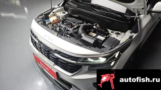 Kia Seltos The New Celtos 2022 года - вид 6